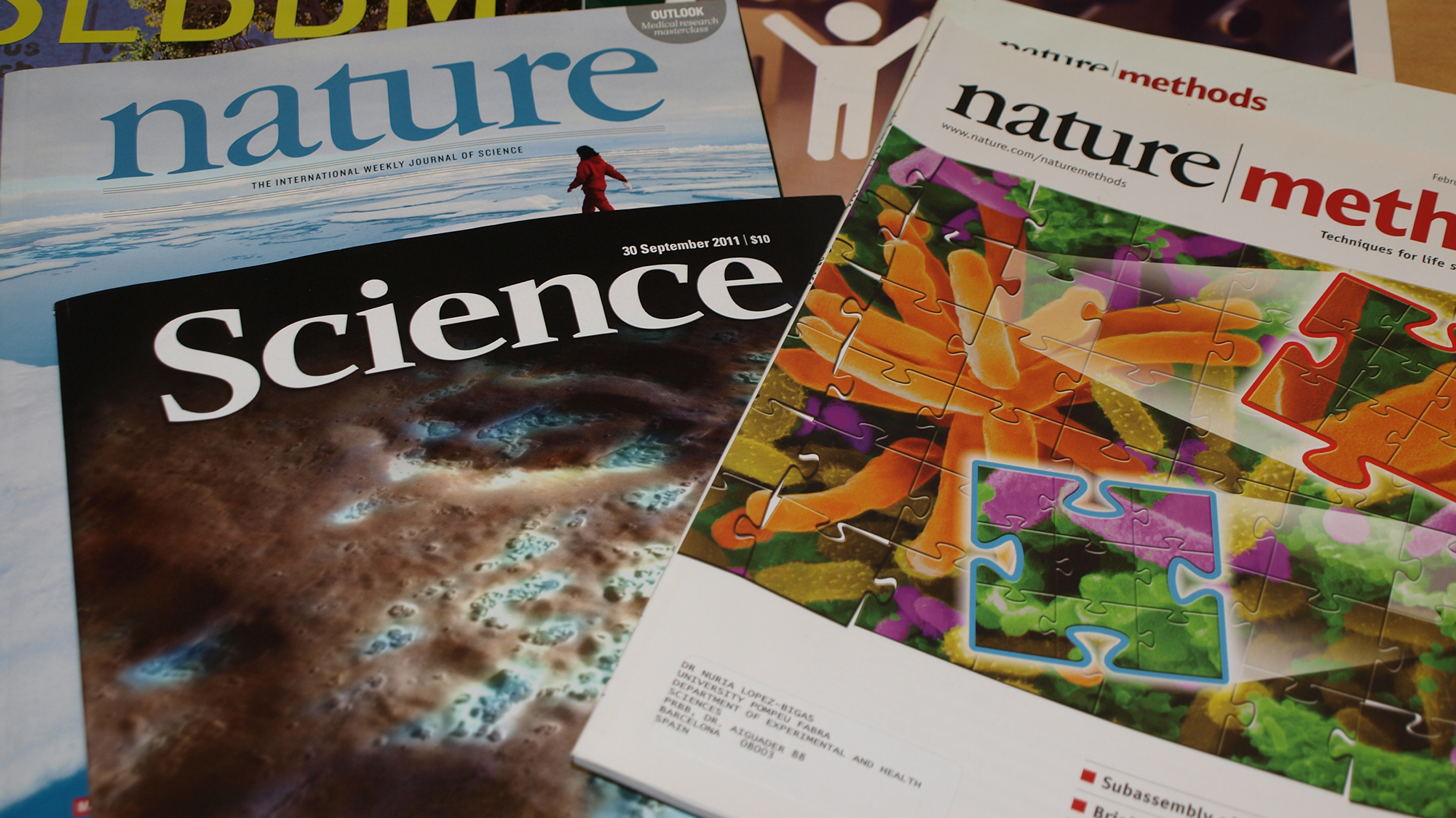 Guaranteed Publication Journals: Truth and Risks