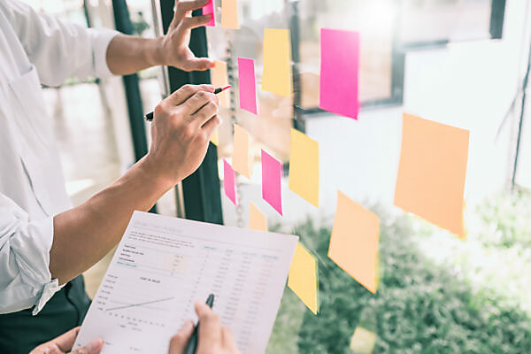 Quality Assessment and Eligibility